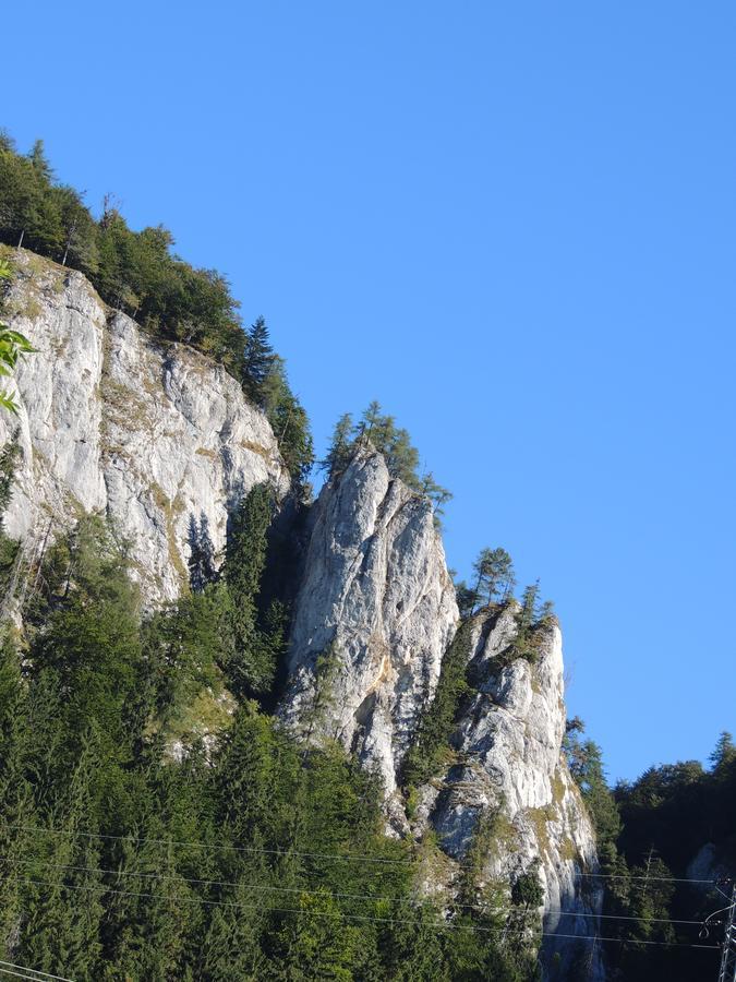 Penzion Borovica Stratená Dış mekan fotoğraf